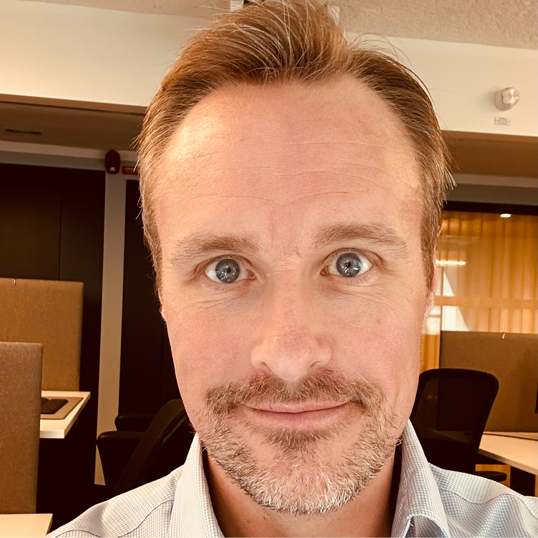 Henrik A Olofsson