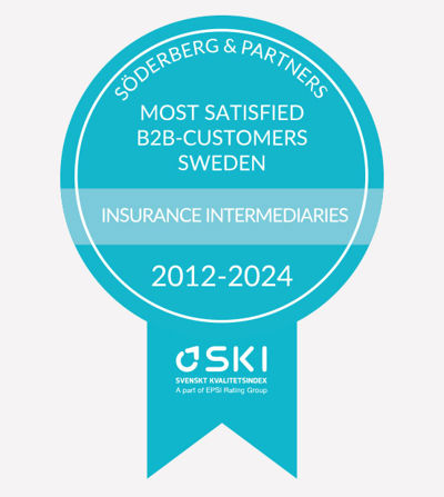 SKI LOGO